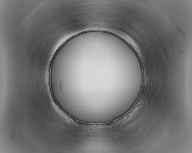X0000113750958200909231003