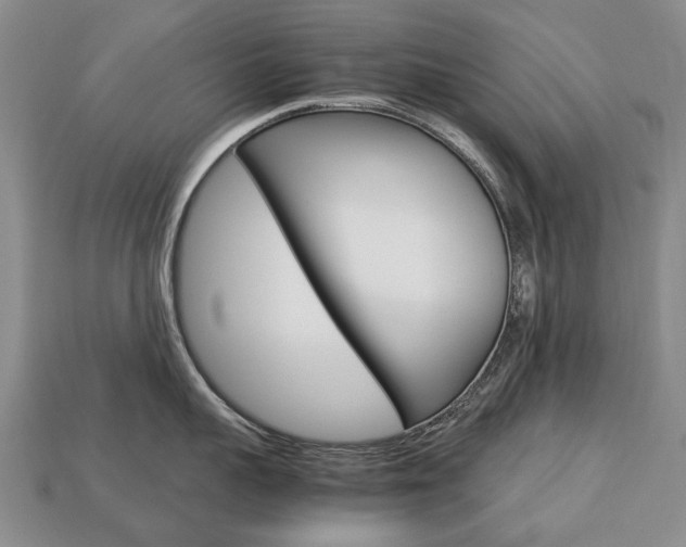 X0000113750959200909231003