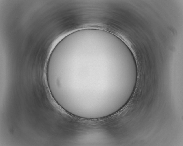 X0000113750960200909231003