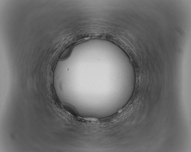 X0000113750961200909231003