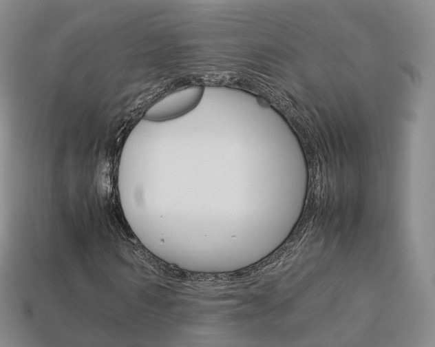 X0000113750962200909231003