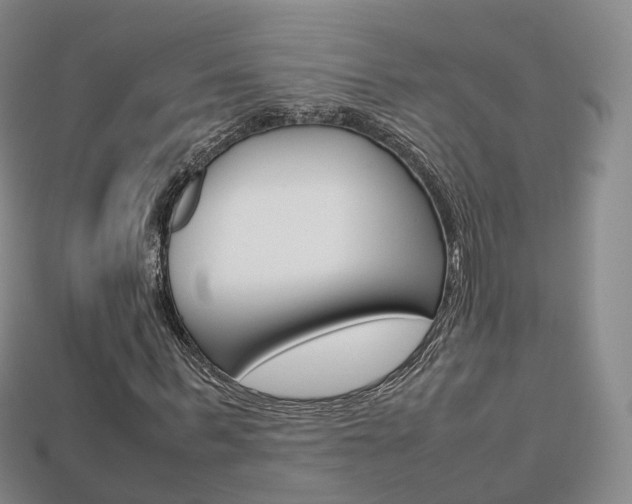 X0000113750963200909231002
