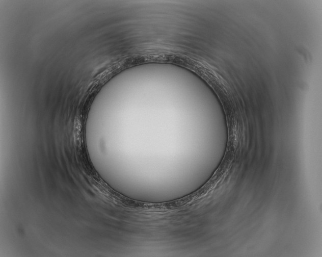 X0000113750964200909231002