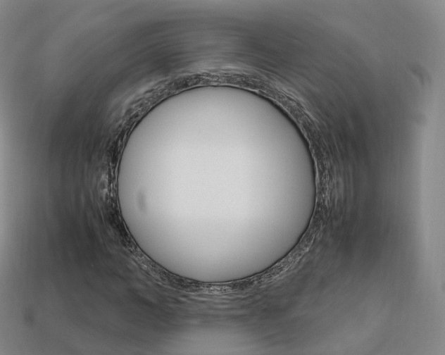 X0000113750966200909231002