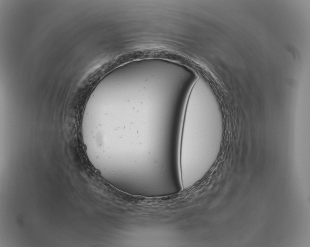 X0000113750967200909231002