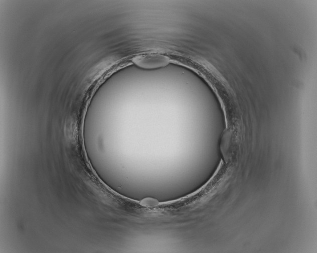 X0000113750969200909231002