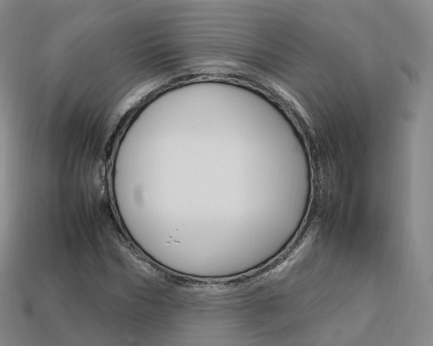 X0000113750970200909231002