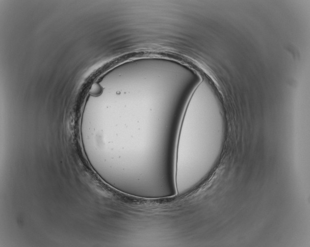 X0000113750971200909231002