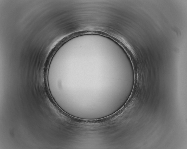 X0000113750972200909231002