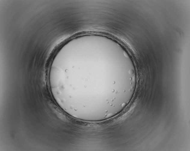 X0000113750974200909231002