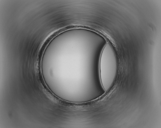 X0000113750976200909231002