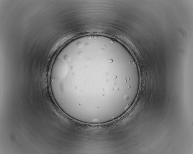 X0000113750978200909231002