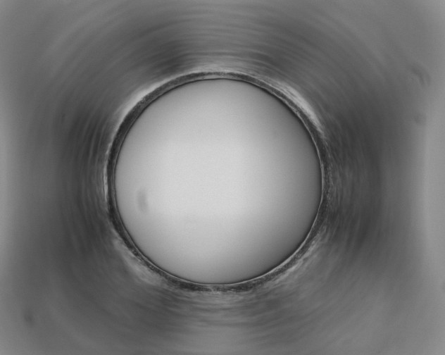 X0000113750980200909231002