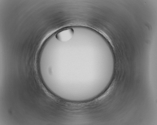 X0000113750981200909231002