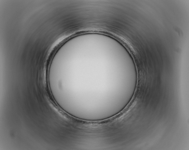 X0000113750982200909231002