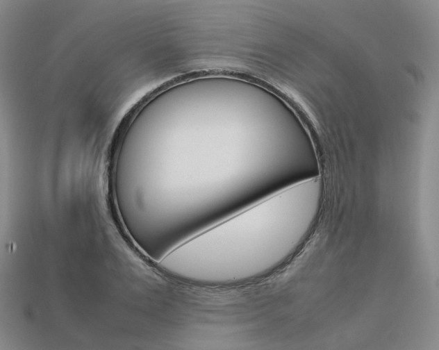 X0000113750983200909231002