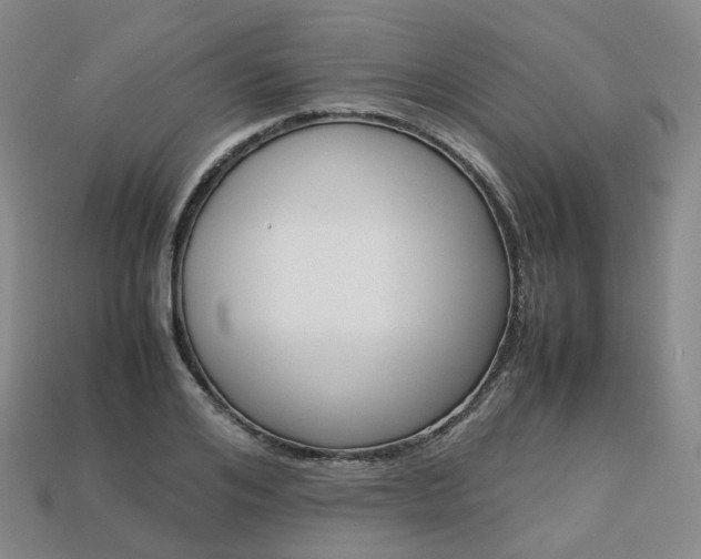 X0000113750984200909231002