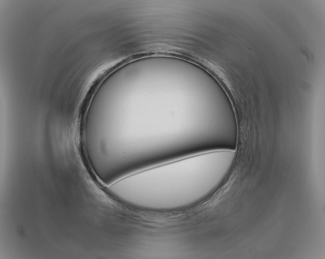 X0000113750987200909231002