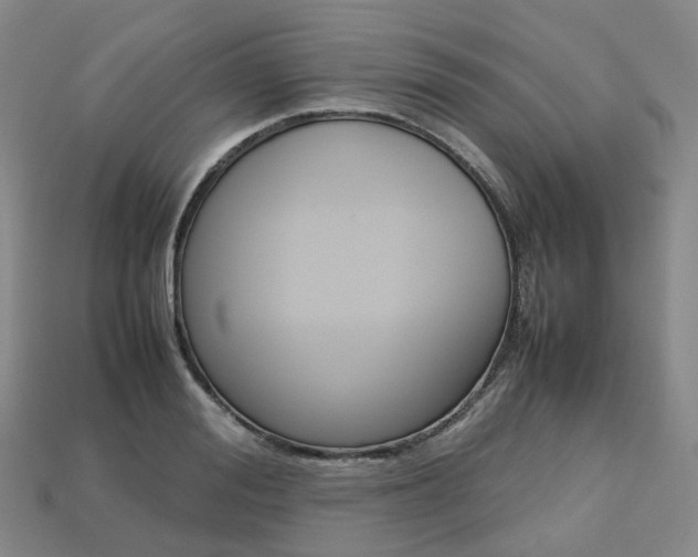 X0000113750988200909231002