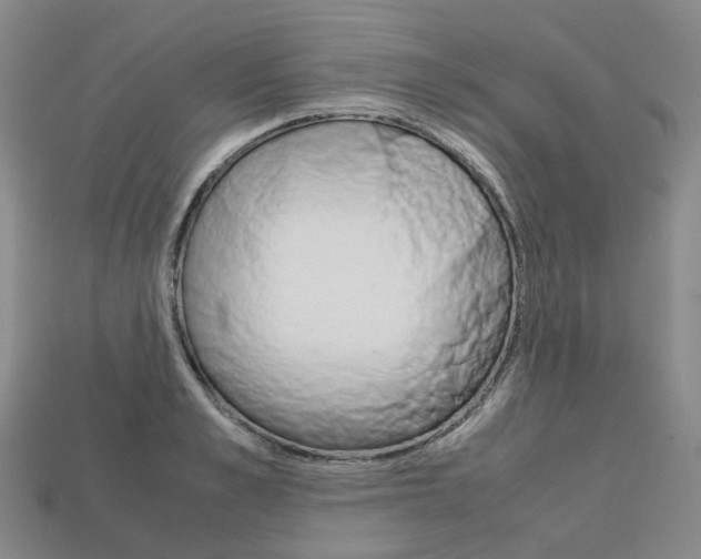 X0000113750989200909231002