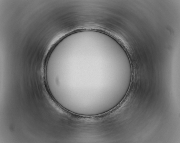 X0000113750990200909231002