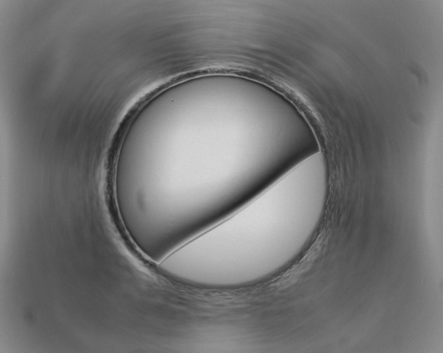 X0000113750991200909231002