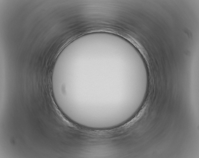 X0000113750993200909231002