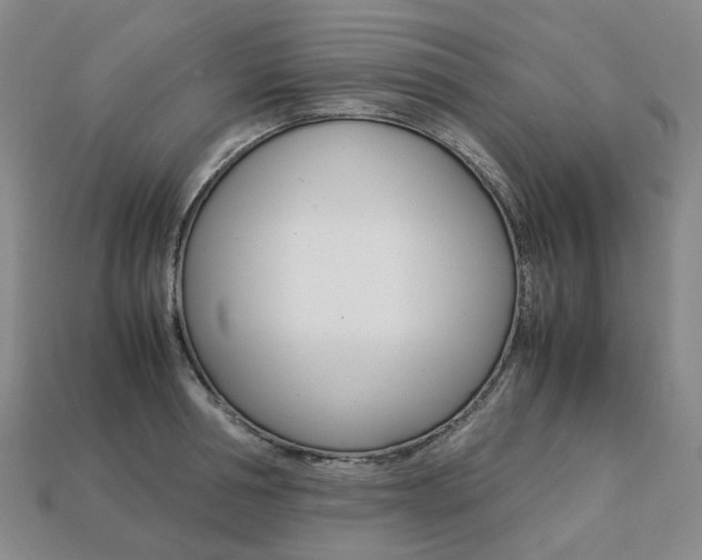 X0000113750994200909231002