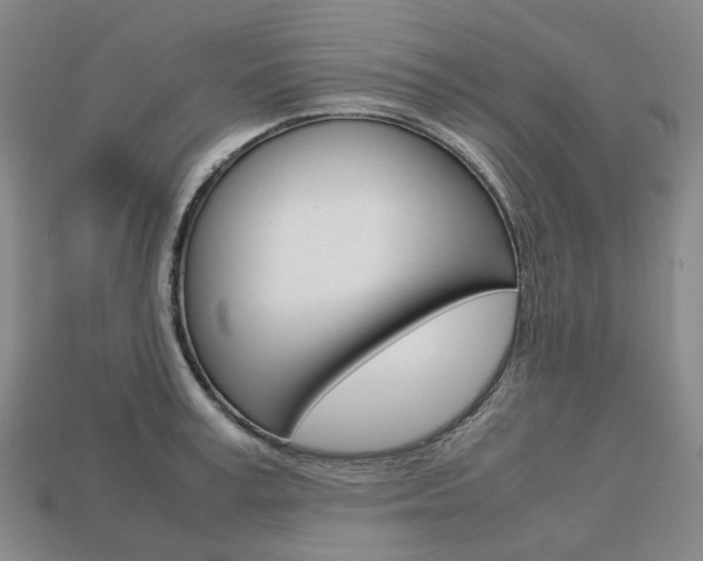 X0000113750995200909231002