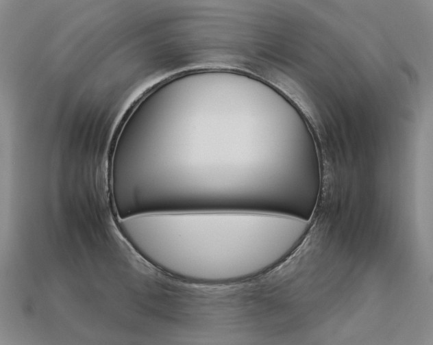 X0000113750996200909231002