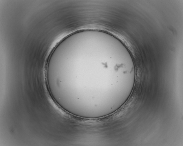 X0000113750998200909231002