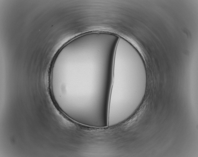 X0000113750999200909231002