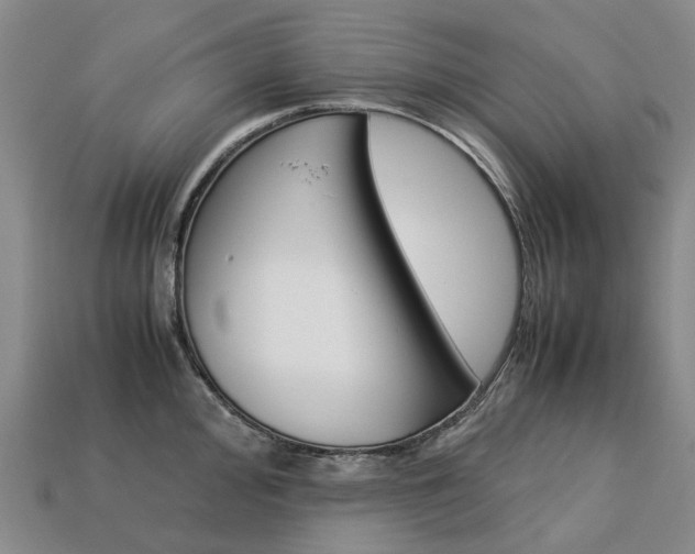 X0000113751000200909231002