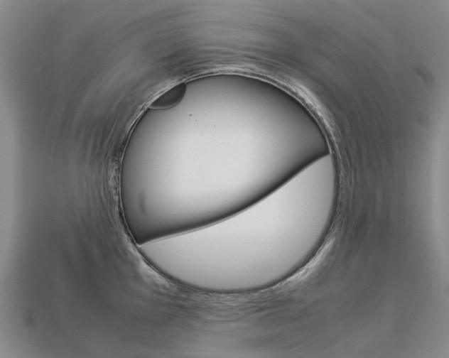 X0000113751001200909231002
