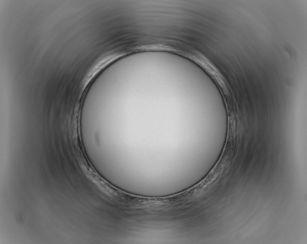 X0000113751002200909231002