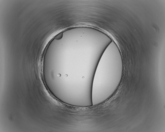 X0000113751003200909231002
