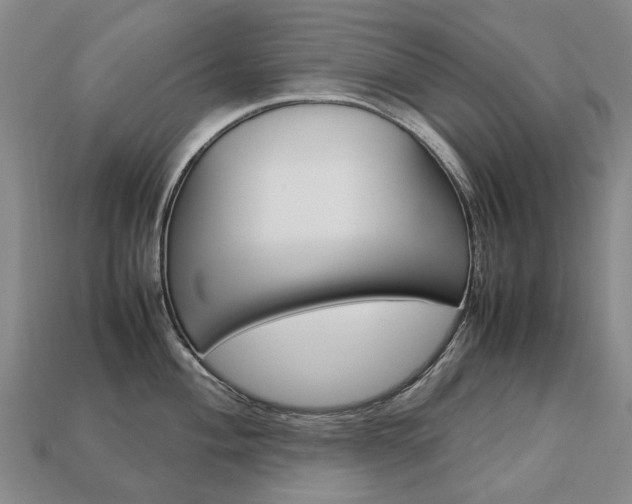 X0000113751004200909231002