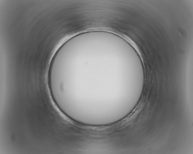 X0000113751005200909231002