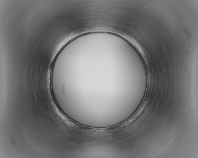 X0000113751006200909231002
