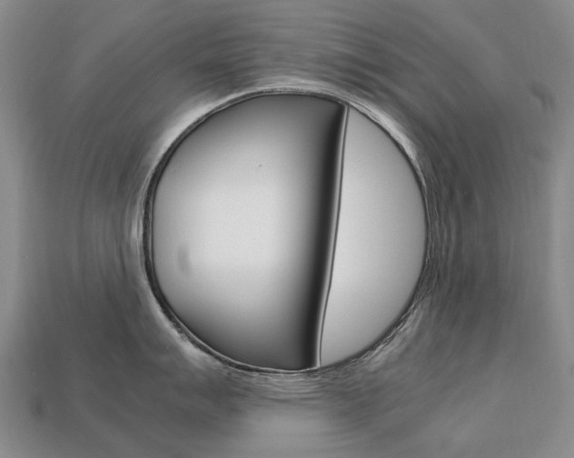 X0000113751007200909231002