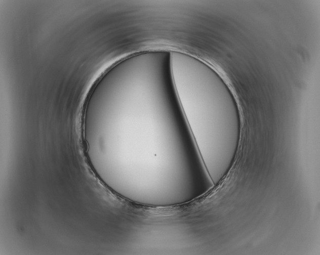 X0000113751008200909231002