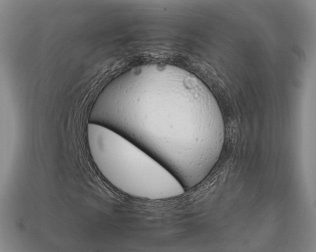 X0000113751009200909231001