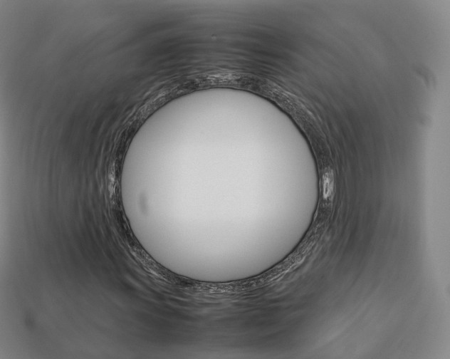 X0000113751011200909231001
