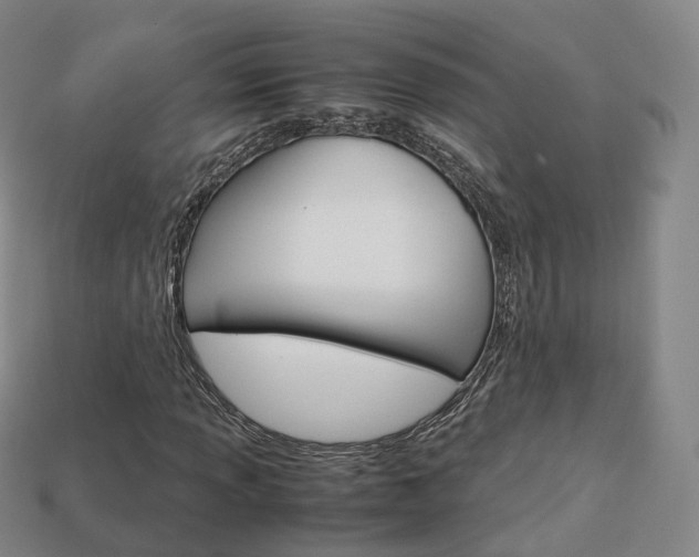 X0000113751013200909231001