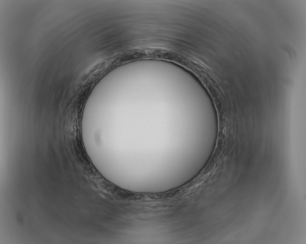 X0000113751014200909231001