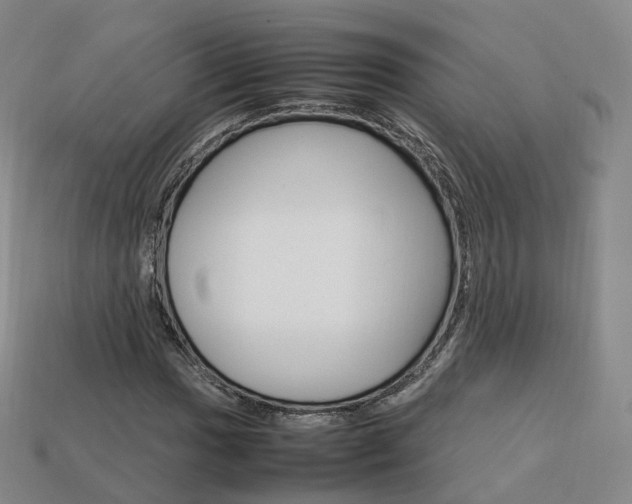 X0000113751017200909231001