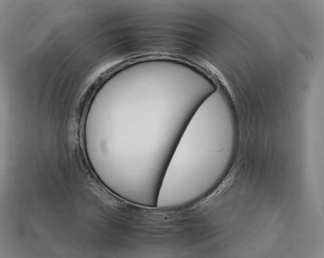 X0000113751019200909231001