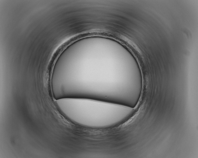 X0000113751021200909231001