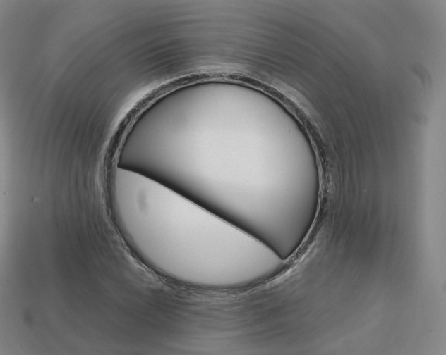 X0000113751022200909231001
