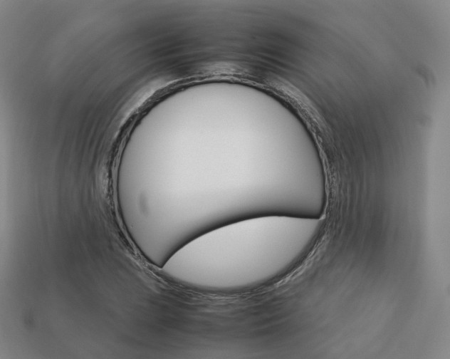 X0000113751023200909231001